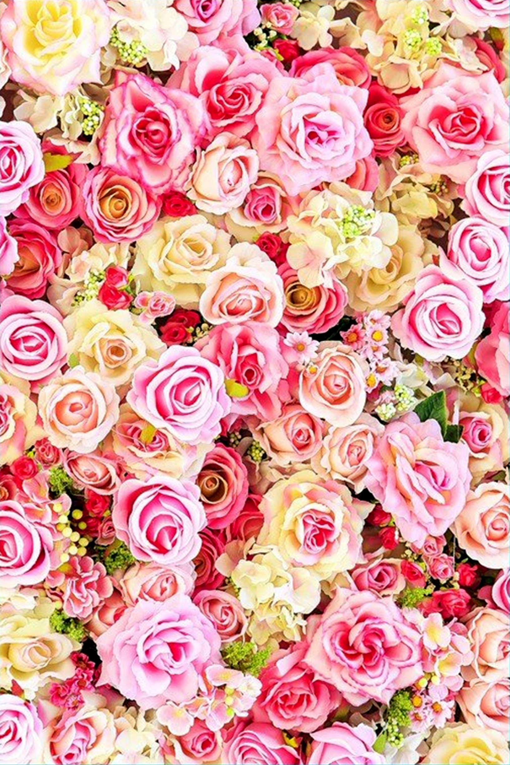 فرشینه مدرن MG-25