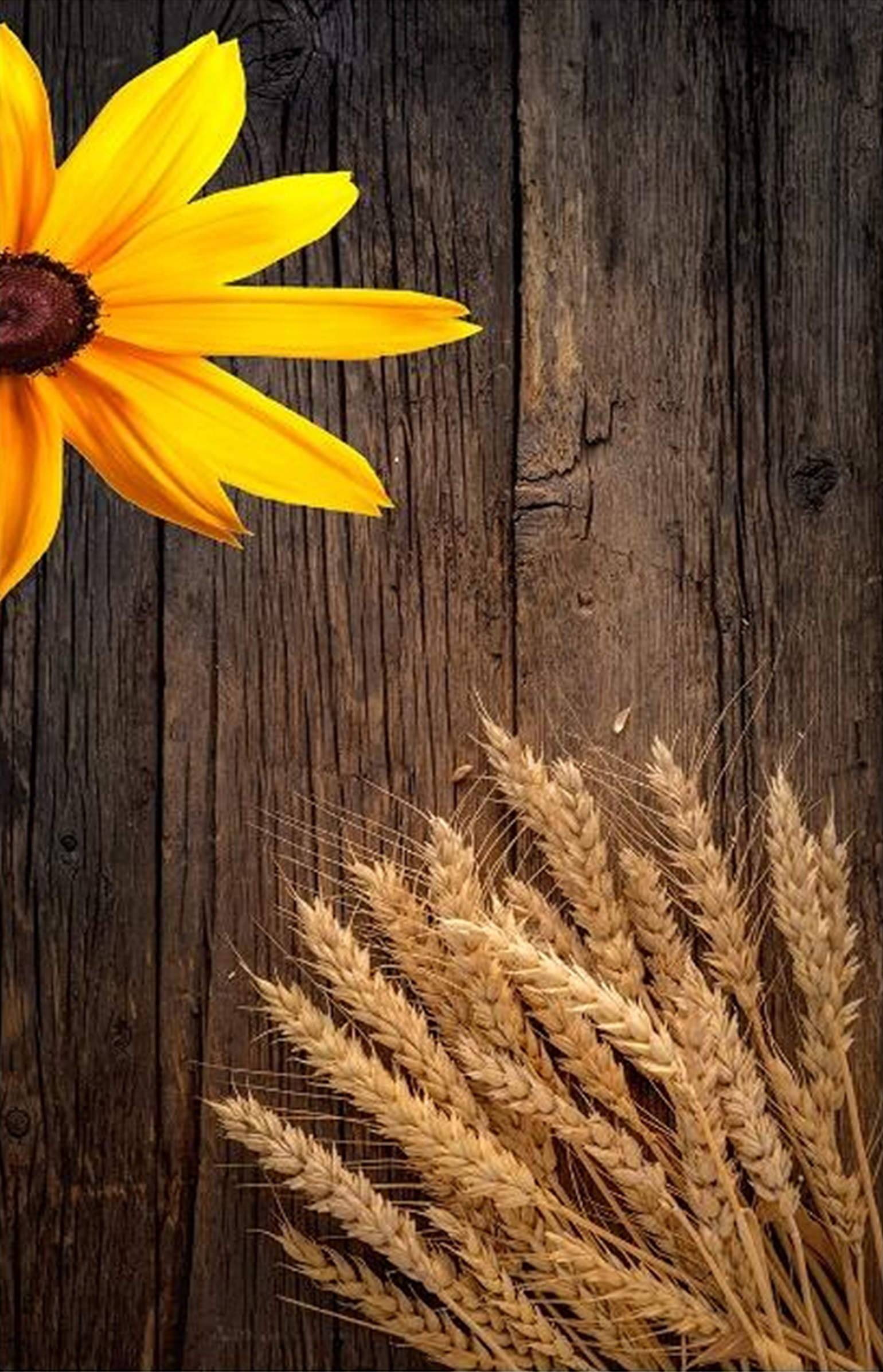 فرشینه آشپزخانه طرح AR-85